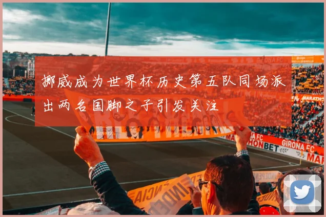挪威成为世界杯历史第五队同场派出两名国脚之子引发关注