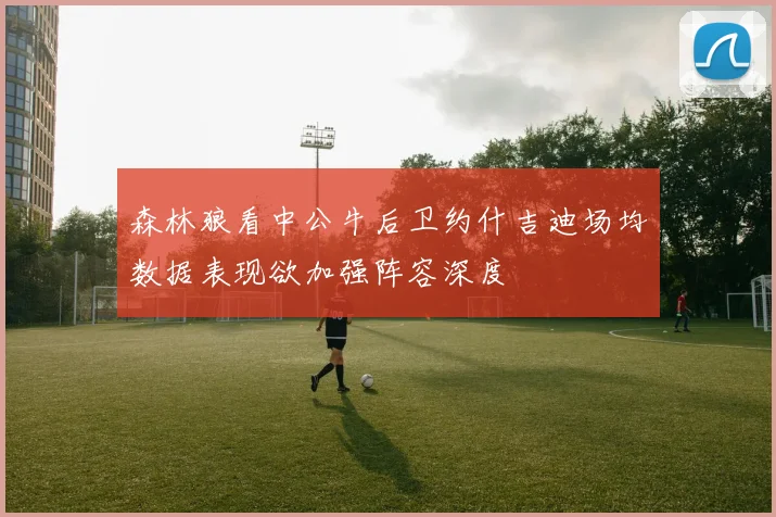 森林狼看中公牛后卫约什吉迪场均数据表现欲加强阵容深度